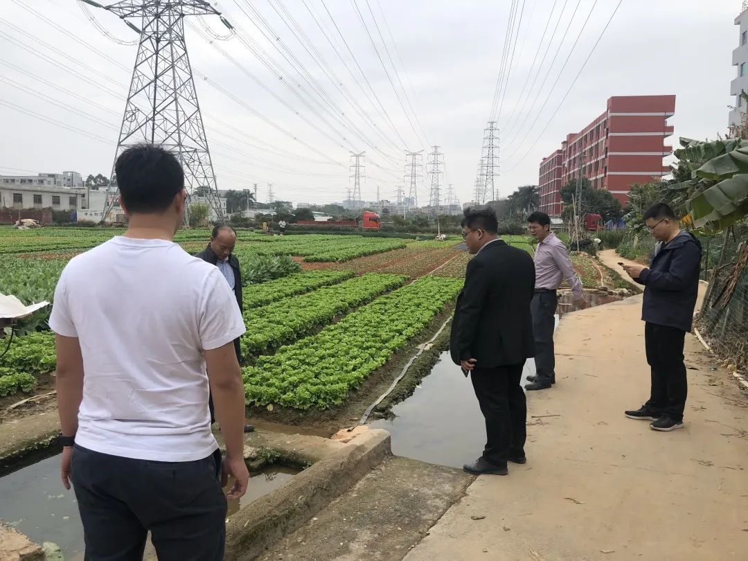 助力墟落振兴，亚星管理平台一直在起劲！