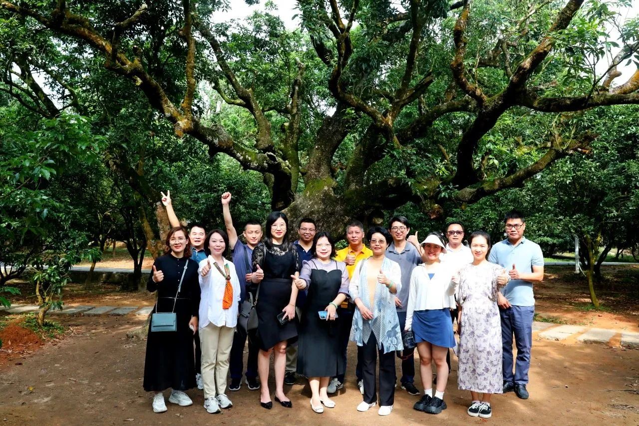 亚星管理平台集团作为省领土空间生态修复协会轮值会长带队调研粤西全域土地综合整治事情